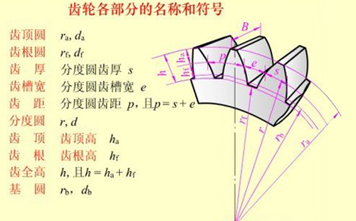 齿轮各部分结构