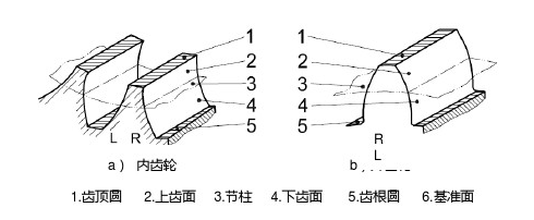 齿面